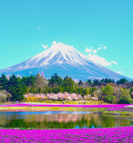 Monte Fuji desde la región de Tokio