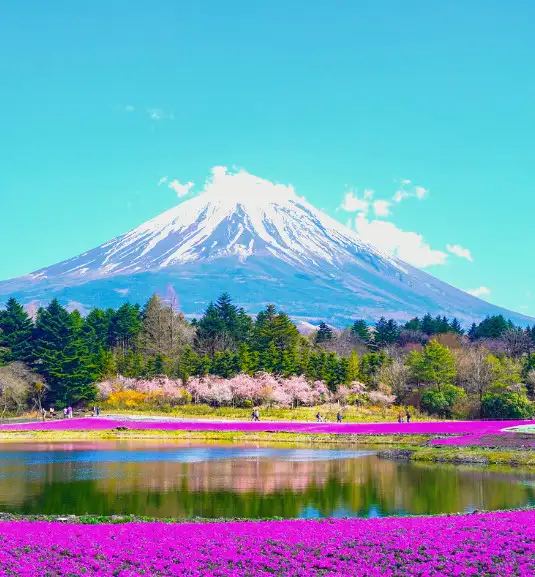 Monte Fuji desde la región de Tokio