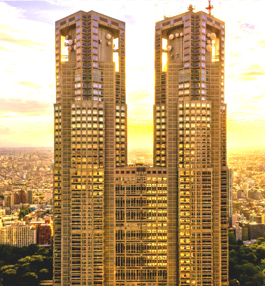 Mirador del Tokyo Metropolitan Government Building