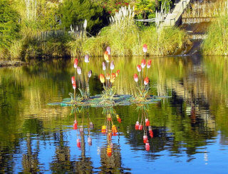 Parque Botánico Celestino Mutis Parque Botánico Celestino Mutis