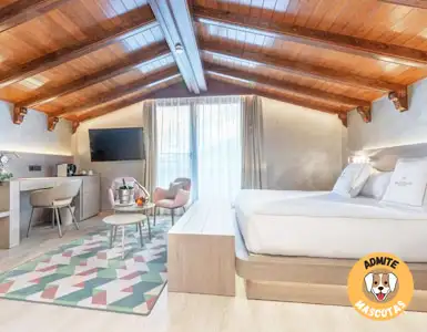 Hoteles que admiten perros Andorra
