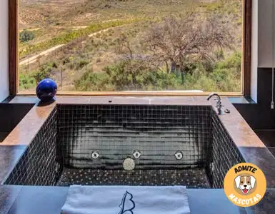 Hoteles con Jacuzzi Privado en la habitación en Almería