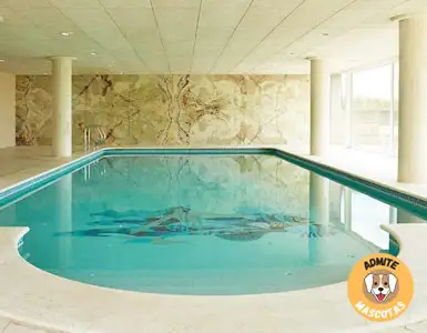 Casas con Piscina Privada en la habitación Barcelona