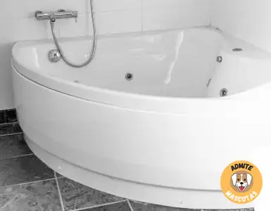 Hoteles con bañera de hidromasaje en la habitación Barcelona