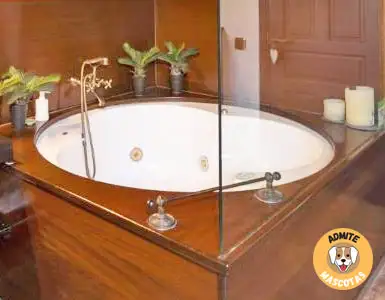 Hoteles Rurales con jacuzzi privado en la habitación Barcelona