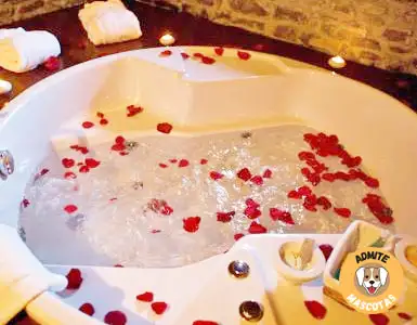 Hoteles Rurales con jacuzzi privado en la habitación Barcelona