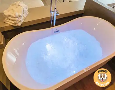 Hoteles Rurales con jacuzzi privado en la habitación Barcelona