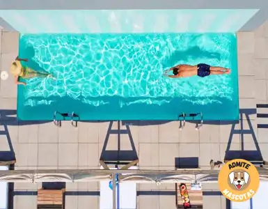Hoteles con piscina privada en la habitación Barcelona