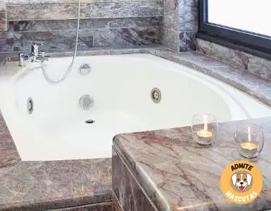 Hoteles con jacuzzi en la habitación Castellar
