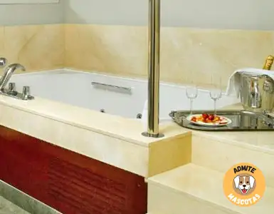 Hoteles con jacuzzi en la habitación Montcada i Reixac