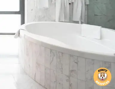Hoteles con jacuzzi en la habitación Sabadell