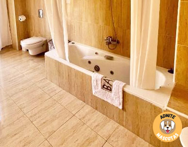 Hoteles con bañera de hidromasaje en la habitación Burgos