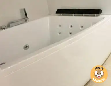 Hoteles con jacuzzi en la habitación Castellón