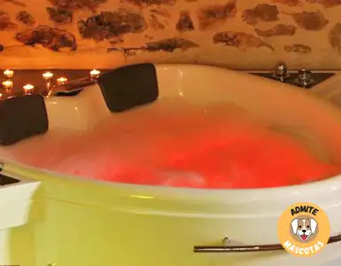 Hoteles con jacuzzi en la habitación Castellón