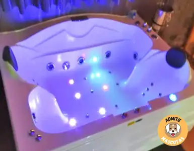 Hoteles con jacuzzi en la habitación Castellón