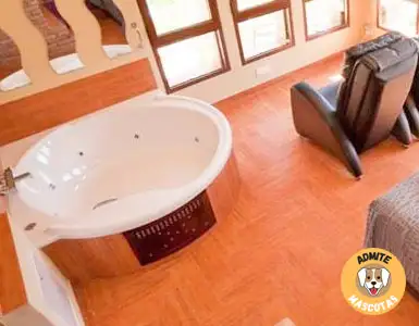 Hoteles con jacuzzi en la habitación Castellón