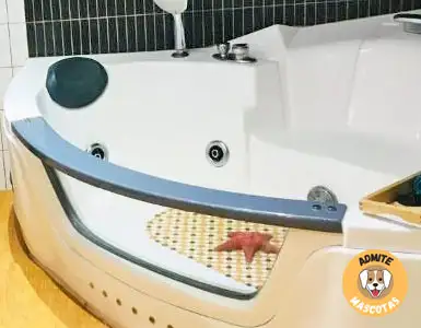 Hoteles con jacuzzi en la habitación Castellón