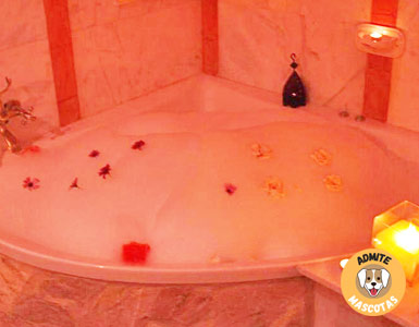 Hoteles con jacuzzi en la habitación Córdoba, Montemayor