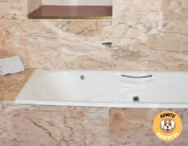 Hoteles con jacuzzi en la habitación Córdoba, Palma del Río
