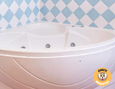 Hoteles con jacuzzi en la habitación Córdoba, Priego de Córdoba