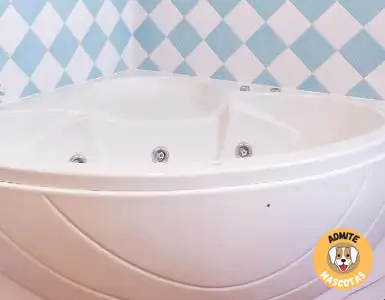 Hoteles con jacuzzi en la habitación Córdoba, Priego de Córdoba