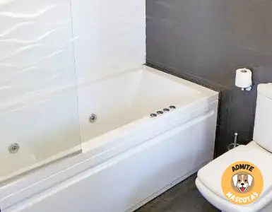 Hoteles con jacuzzi en la habitación Córdoba, Villanueva del Rey