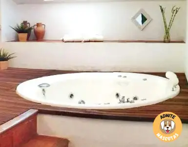 Hoteles con jacuzzi en la habitación Cuenca, Belmonte