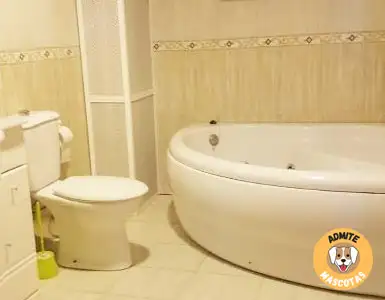 Hoteles con jacuzzi en la habitación Cuenca, Chillarón de Cuenca