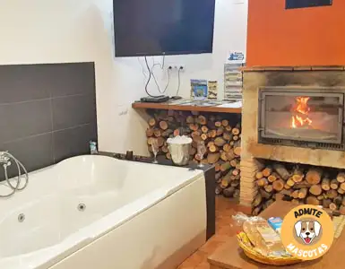 Hoteles con jacuzzi en la habitación Cuenca, Pajaroncillo