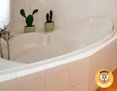 Hoteles con jacuzzi en la habitación Cuenca, Santa MAría de los Llanos