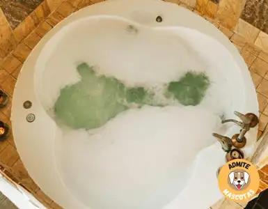 Hoteles con jacuzzi en la habitación Cuenca, Villar de Olalla