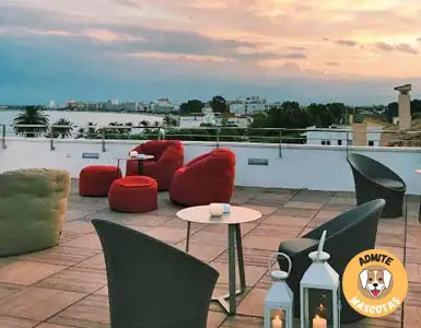 Hoteles que admiten perros Costa Brava