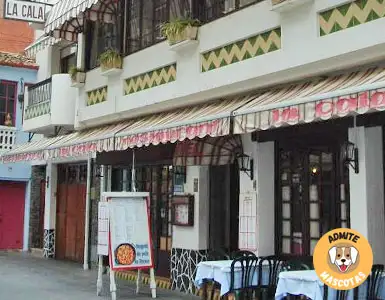 Hoteles que admiten perros Costa Brava