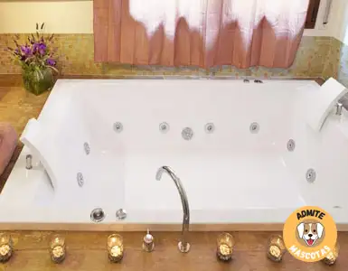 Hoteles con jacuzzi en la habitación Girona