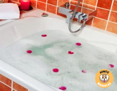 Hoteles con bañera de hidromasaje en la habitación Girona