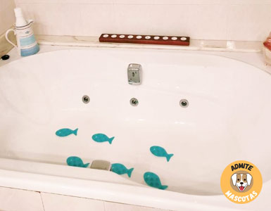 Hoteles con bañera de hidromasaje en la habitación Girona