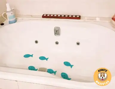 Hoteles con bañera de hidromasaje en la habitación Girona