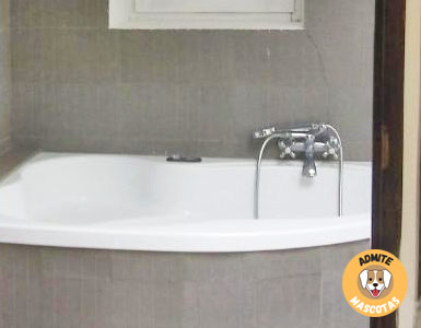Hoteles con jacuzzi en la habitación Girona