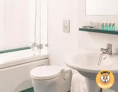 Hoteles con jacuzzi en la habitación Girona