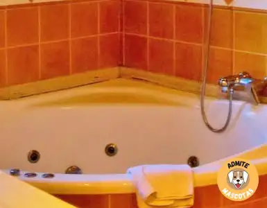 Hoteles con jacuzzi en la habitación Girona