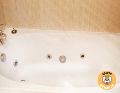 Hoteles con jacuzzi en la habitación Girona