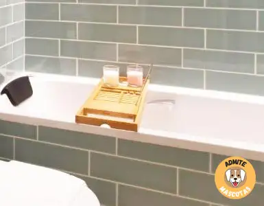 Hoteles con jacuzzi en la habitación Girona Ciudad