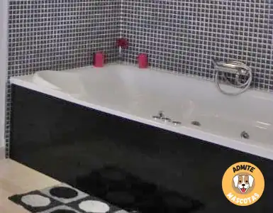 Hoteles con Jacuzzi Privado en la habitación en Granada