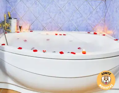 Hoteles con jacuzzi privado Granada Provincia