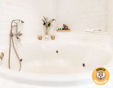 Hoteles con jacuzzi privado Granada Provincia