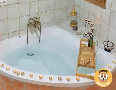 Hoteles con jacuzzi en la habitación Granada Provincia
