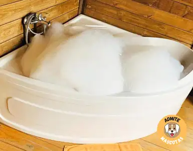 Hoteles con jacuzzi en la habitación Granada