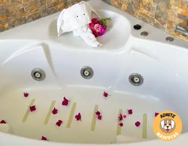 Hoteles con jacuzzi en la habitación Huelva