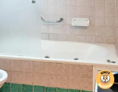 Hoteles con jacuzzi en la habitación Huelva
