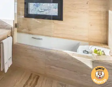Hoteles con jacuzzi en la habitación Huelva